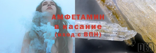 прущие грибы Алзамай
