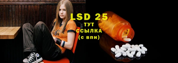 прущие грибы Алзамай