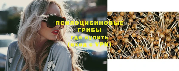 прущие грибы Алзамай