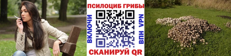 Псилоцибиновые грибы мицелий  Костерёво 